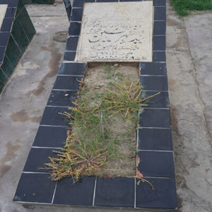 Syed Mazhar Hussain Sherazi