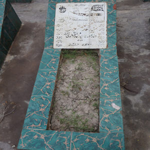 Syed Muhammed Amir Abidi