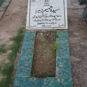 Syeda Shahmim Zehra Zaidi
