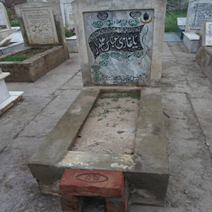 Syeda Anees Fatima Naqvi