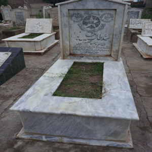 Syed Talib Hussain Zaidi