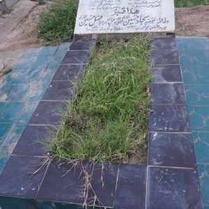 Syed Sajjad Hussain Bukhari