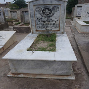 Syeda Sahab Zehra