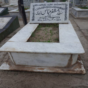 Syed Muzaffar Abbas Zaidi