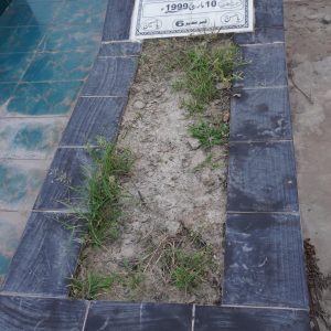 Syed Akhter Abbas Naqvi