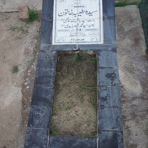 Syeda Tayyaba Khatoon
