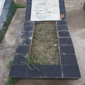 Syed Sabir Hussain Naqvi