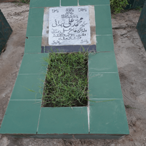 Syed Muhammad Ali Hamdani