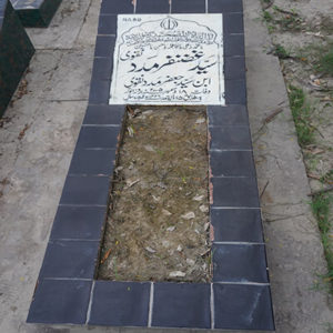 Syed Ghazanfer Madad Naqvi