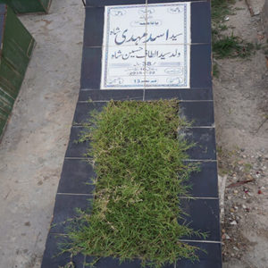 Syed Asad Mehdi Shah