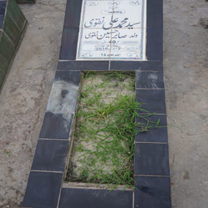 Syed Muhammad Ali Naqvi