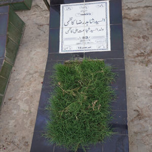 Syed Shahid Raza Kazmi