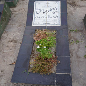 Syed Jafer Abbas Zaidi