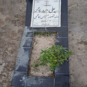 Syed Ali Haider Kazmi