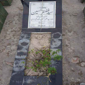 Syed Ghazanfer Hussain