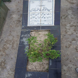 Syeda Touqir Fatima Naqvi