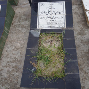 Syed Abbas Ali Rizvi