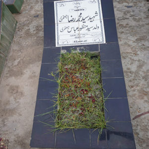 Shaheed Syed Muhammed Raza Jafri