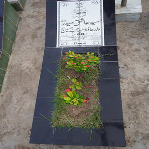 Syed Ashiq Haider Bukhari