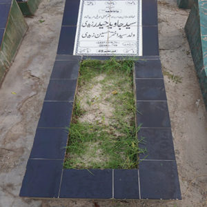 Syed Javed Haider Zaidi