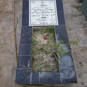Syeda Narjis Khatoon Zaidi