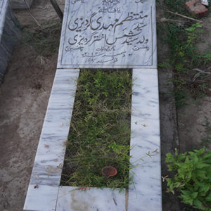 Syed Muntazim Mehdi Gardazi