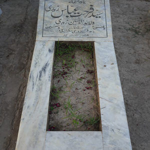 Syed Farhat Abbas Zaidi