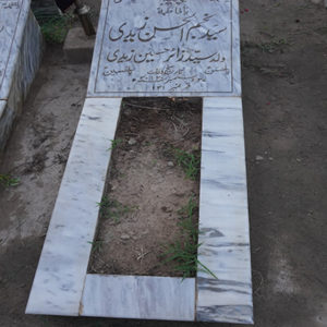 Syed Najam-ul-Hassan Zaidi