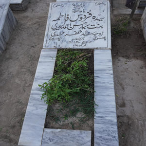 Syeda Ferdous Fatima