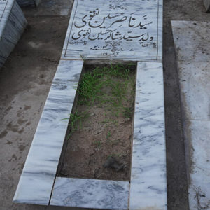 Syed Nasir Hussain Naqvi