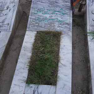 Syed Shabbir Hussain Naqvi