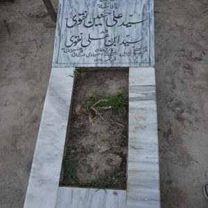 Syed Ali Hasnain Naqvi