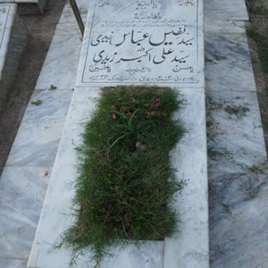 Syed Nafees Abbas Zaidi