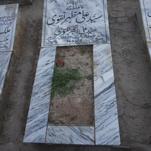 Syed Ali Mazhar Naqvi