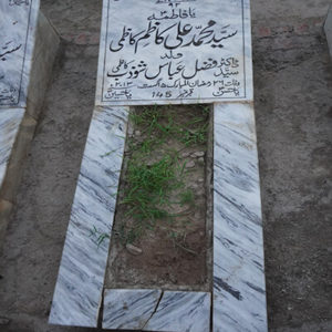 Syed Muhammed Ali Kazim Kazmi