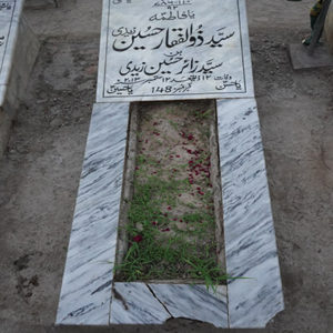 Syed Zulfiqar Hussain Zaidi