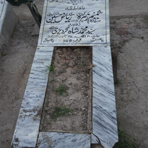 Syeda Shahmin Zehra Gardazi