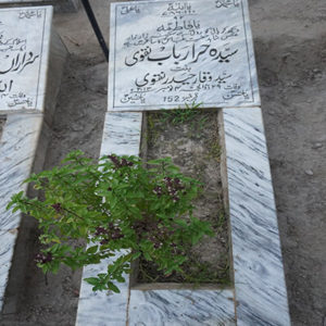 Syeda Hira Rubab Naqvi