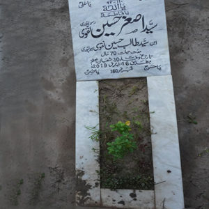 Syed Asghar Hussain Naqvi