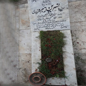 Syeda Nasreen Zehra Zaidi