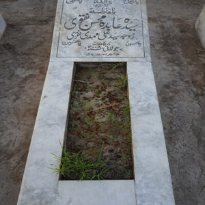 Syeda Abida Mohsin Naqvi