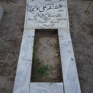 Syed Ghazanfer Ali Kazmi