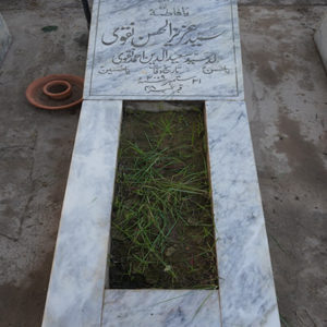 Syed Aziz-ul-Hassan Naqvi