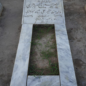 Syed Ameer Hussain Shah Sabzwari