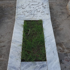 Najam-Ul-Hassan Kheral
