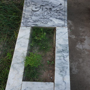 Syed Masood-ul-Hassan Hamdani