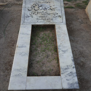 Syed Haider Ali Naqvi