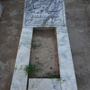 Syeda Munawer Tasleem