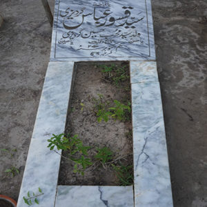 Syed Qaswer Abbas Gardazi