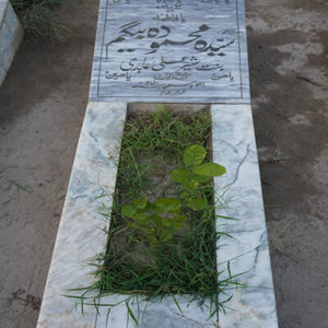 Syeda Mehmooda Begum